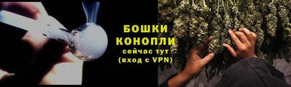 прущая мука Магас