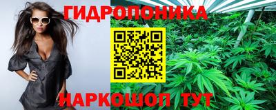 MDMA Новодвинск