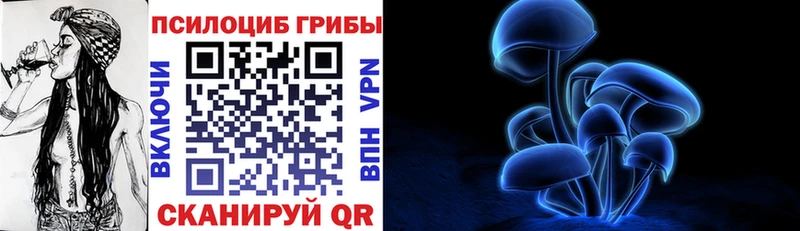 Галлюциногенные грибы MAGIC MUSHROOMS  Новозыбков 